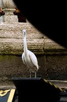 dsc_197768.jpg
