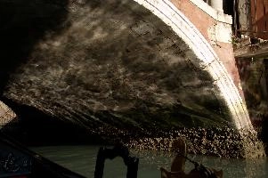 Caustics in Venice, venezia, italian, daytime, bridge, gondola, venetian, canal, underneath, veneto, tourism, sunlight, italy, reflections, sun, venice, patterns, history, abstract, waves, ripples, projection, city, caustics, urban, historic, light, broken, venezia, water, bridge, gondola, aquatic, canal, veneto, ripples, italy, rough, venice, reflections, texture, surface, venetian, caustics, underneath, arch