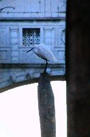 dsc_197877.jpg