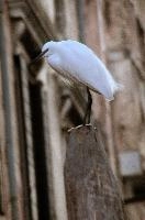 dsc_197881.jpg
