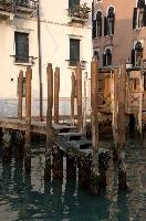 dsc_199254.jpg