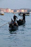 dsc_199270.jpg