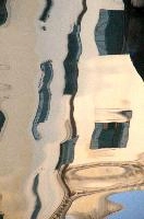 dsc_199417.jpg