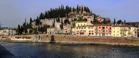 Verona shot across river in Autumn, italian, town, houses, front, cypresses, autumn, hill, sunshine, river, tourism, verona, historic, veneto, water, italy, old