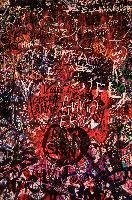 Graffiti in Verona, Veneto, italy, veneto, verona, wall, colurful, graffiti, town, paint