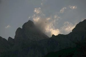 Eagle in the Clouds, alps, animal, bird, churfirsten, cloud, eagle, europe, evening, gallen, light, mountain, peak, sankt, switzerland