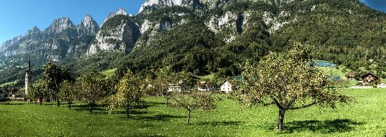 Berschis, switzerland, meadow, daylight, swiss, trees, outdoors, summer, alps, rural, walenstadt, churfirsten, alpine, blue sky, farm, sunshine, field, green, hay, mountains, orchard, farmland, sunny, grass