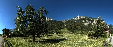 After the Cut, meadow, daylight, mountains, swiss, trees, alpine, summer, hay, rural, walenstadt, churfirsten, alps, blue sky, farm, sunshine, field, green, outdoors, switzerland, orchard, farmland, sunny, grass