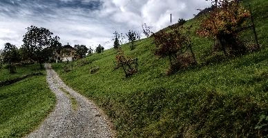 Highway to Quinten, swiss, path, quinten, alps, walking, mountains, lush, switzerland, meadows, outdoors, hiking, agriculture, alpine, green, track, overcast, churfirsten, walenstadtberg, countryside, walenstadt, walensee, route, dirt, cloudy, summer