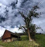 Against the Sky, tree, green, mountains, cloudy, swiss, countryside, outdoors, cottage, agriculture, meadows, hiking, quinten, overcast, alps, summer, walenstadt, house, churfirsten, barnpath, walking, building, route, path, walensee, walenstadtberg, alpine, lush, switzerland, barn, farmhouse, dirt, track