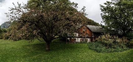 Apple blossom in Walenstadt, Switzerland, null