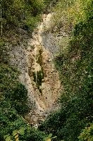 Minor waterfall along the walking route to Quinten, Swiss Alps, alpine, running, swiss, water, switzerland, foliage, outdoors, summer, walensee, green, gorge, outcrop, daylight, woods, stone, moist, quinten, rock, damp, walenstadt, alps, stream, waterfall, mountains, rivulet