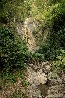 Minor waterfall along the walking route to Quinten, Swiss Alps, alpine, running, swiss, water, switzerland, foliage, outdoors, summer, walensee, green, gorge, outcrop, daylight, woods, stone, moist, quinten, rock, damp, walenstadt, alps, stream, waterfall, mountains, rivulet