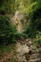 Minor waterfall along the walking route to Quinten, Swiss Alps, alpine, running, swiss, water, switzerland, foliage, outdoors, summer, walensee, green, gorge, outcrop, daylight, woods, stone, moist, quinten, rock, damp, walenstadt, alps, stream, waterfall, mountains, rivulet