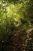 Path to Quinten, outdoors, alps, alpine, swiss, quinten, walensee, switzerland, walenstadt, mountains