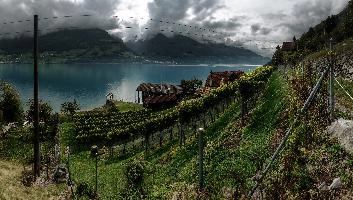 dsc_193564-dsc_193578.jpg