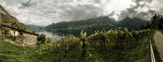 dsc_193606-dsc_193635.jpg
