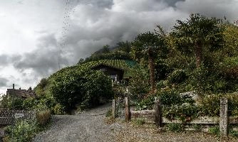 Quinten Verdancy, walensee, quiet, alpine, tranquil, alps, quinten, lakeside, walen, village, cloud, peaceful, churfirsten, quaint, walenstadt, tourism, traditional, lake, outdoors, switzerland, green, woods, forest, rustic, swiss, remote, mountains, countryside, rural, autumn, cloudy