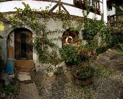 Quinten, walen, quiet, switzerland, tranquil, alpine, alps, tourism, mountains, village, lake, peaceful, walenstadt, quaint, walensee, forest, traditional, quinten, outdoors, rural, green, cloudy, woods, rustic, churfirsten, remote, swiss, lakeside, countryside, autumn, cloud