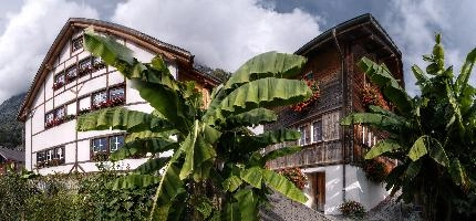 Quinten Bananas and Geraniums, walen, bananas, switzerland, village, alpine, green, alps, tourism, mountains, quaint, lake, palm, walenstadt, half-timbered, walensee, forest, timber, quinten, houses, rural, green, cloudy, woods, traditional, churfirsten, subtropical, swiss, lakeside, countryside, autumn, cloud