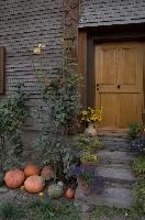 Pumpkins and Farmhouse Door, Switzerland, null