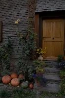 Pumpkins and Farmhouse Door, Switzerland, null