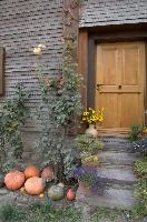 Pumpkins and Farmhouse Door, Switzerland, null
