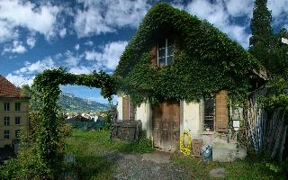Creeper-bedecked workshop on Walenstadtberg, Switzerland, house, walenstadtberg, walen, lake, walensee, walenstadt, switzerland