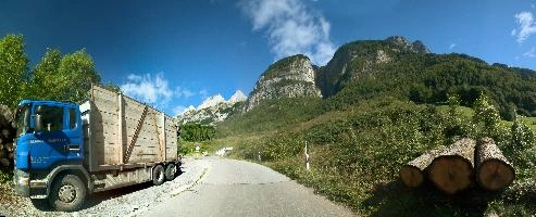Lorry and timber on Walenstadtberg, Switzerland, alps, churfirsten, logs, wood, walenstadtberg, walenstadt, switzerland