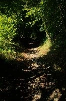 dsc_236957.jpg