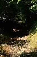 dsc_236966.jpg