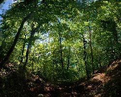 dsc_237626-dsc_237682.jpg