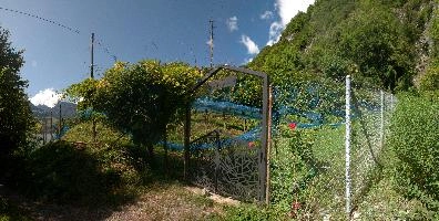 Garden on Walenstadtberg, null