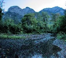 Stream bed on Walenstadtberg, Swiss Alps, river, stream, walenstadtberg, walenstadt, alpine, mountains, trees, alps, forest, swiss, shingle, switzerland, bed, churfirsten