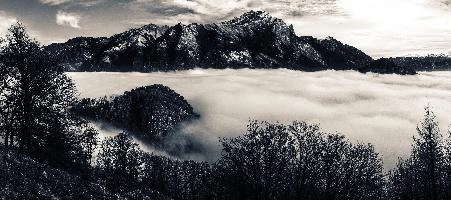 Atmospheric inversion in the Swiss Rhine valley trapping a sea of fog seen from the Gonzen, mist, fluffy, fog, white, valley, lake, rhine, sea, gonzen, autumn, alpine, weather, landscape, alps, atmospheric, scenery, mountains, inversion, panorama, swiss, layer, view, switzerland, cloud, forest