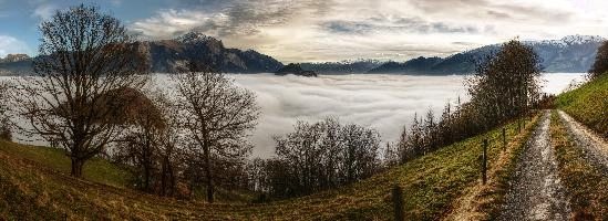 Atmospheric inversion in the Swiss Rhine valley trapping a sea of fog seen from the Gonzen, mist, fluffy, fog, white, valley, lake, rhine, sea, gonzen, autumn, alpine, weather, landscape, alps, atmospheric, scenery, mountains, inversion, panorama, swiss, layer, view, switzerland, cloud, forest