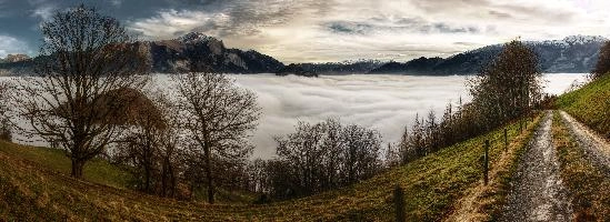 Atmospheric inversion in the Swiss Rhine valley trapping a sea of fog seen from the Gonzen, mist, fluffy, fog, white, valley, lake, rhine, sea, gonzen, autumn, alpine, weather, landscape, alps, atmospheric, scenery, mountains, inversion, panorama, swiss, layer, view, switzerland, cloud, forest