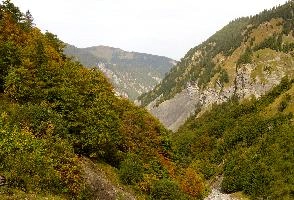 The Weisstannen valley, Mels, Switzerland, null