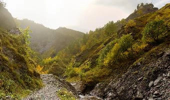 The Weisstannen valley in Autumn, Mels, Switzerland, null