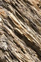 Bedding planes in the Weisstannen valley, Mels Switzerland, null
