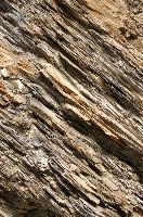 Bedding planes in the Weisstannen valley, Mels Switzerland, null