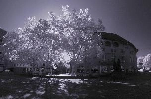 Helvetiaplatz in Infra-red, zürich