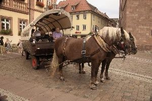 Coach and Horses, null