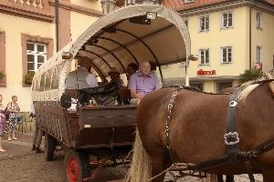 Coach and Driver, null
