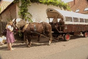 Becci and Carriage, null