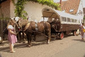 Becci and Carriage, null