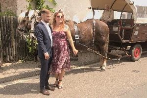 Couple and Horse, null