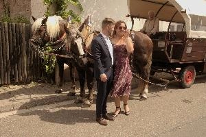 Couple with Horses, null