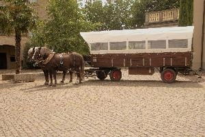 Coach and Horses, null
