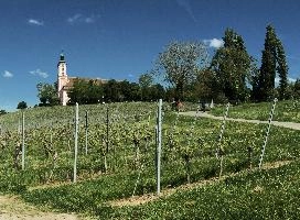 Birnau, birnau, bodesee, constance, kloster, blue sky, germany, abbey, uhldingen, baden-württemberg, bodensee, outdoors, baroque, christianity, summer, catholic, ornate, exterior, lake, church, scenic, sunshine, religion, pink